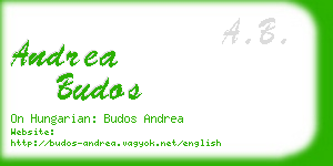 andrea budos business card